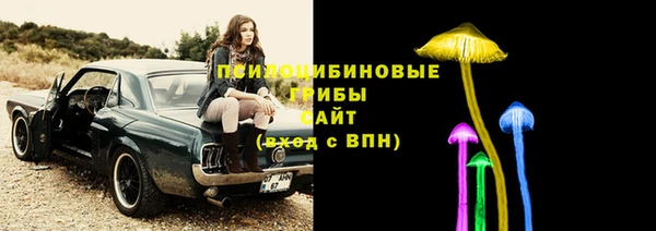мяу мяу мука Алексеевка